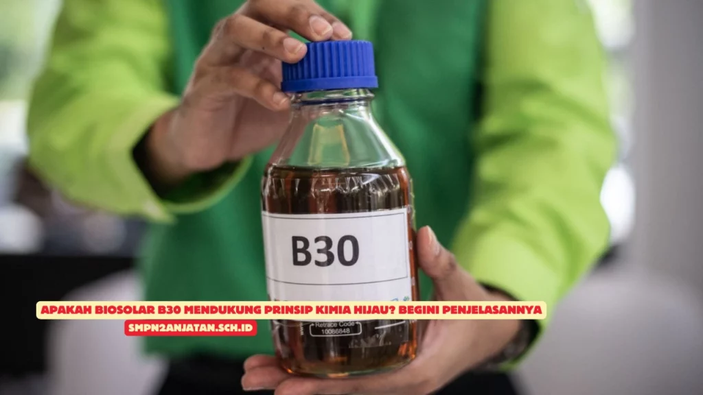 Apakah-Biosolar-B30-Mendukung-Prinsip-Kimia-Hijau