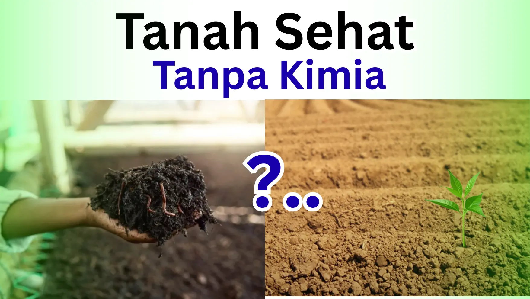 Tanah Sehat Tanpa Kimia - smpn2anjatan.sch.id